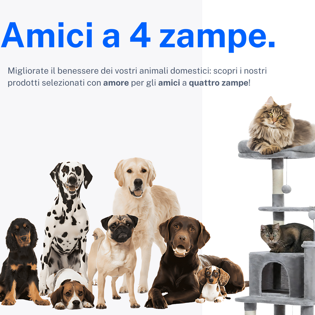 Amici a 4 zampe