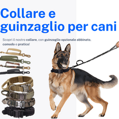 Collare E Guinzaglio Per Cani