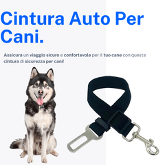 Cintura Auto Per Cani